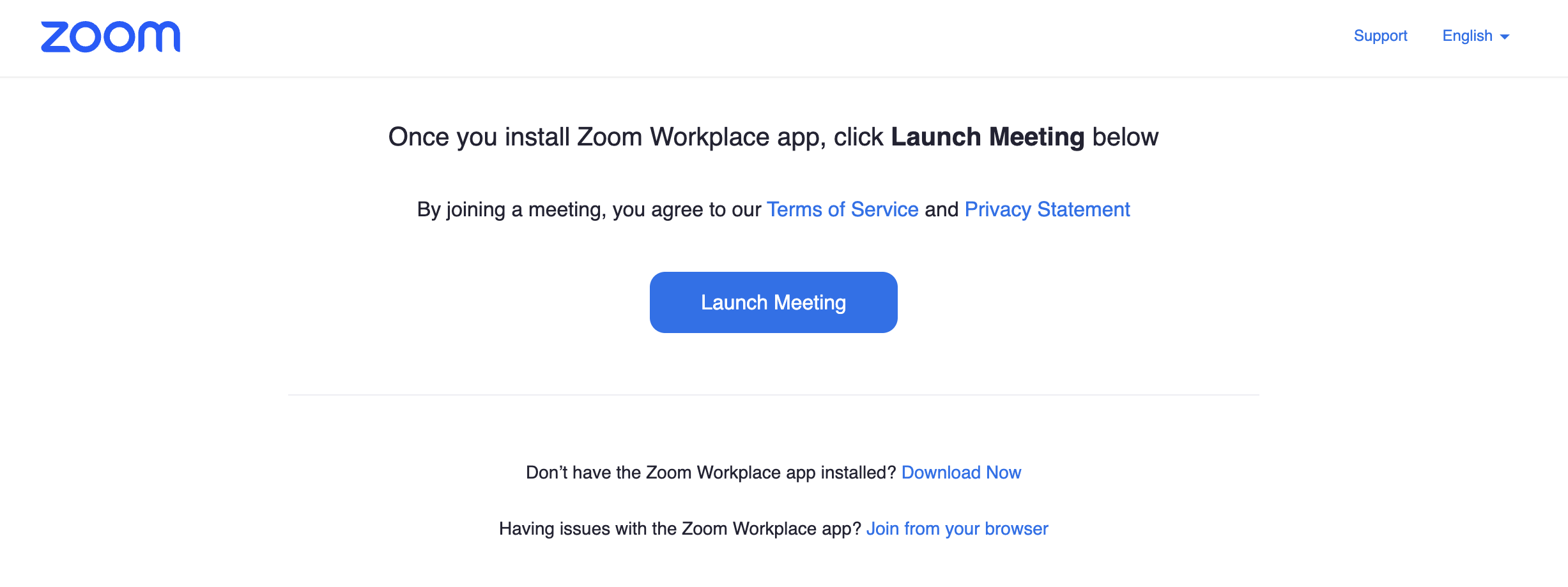 Zoom