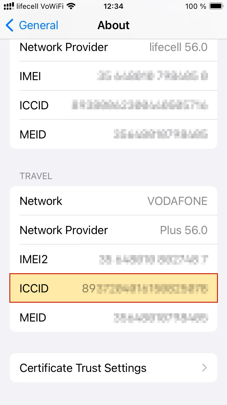 ICCID on iPhone
